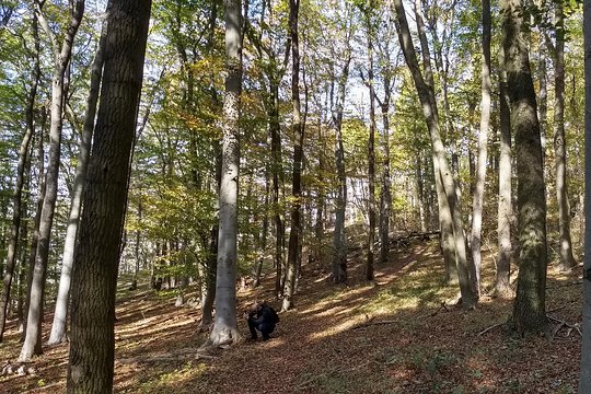 Tour image 7