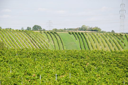 Tour image 4