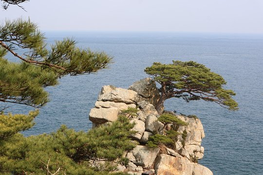 Tour image 2