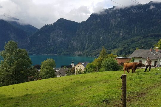 Tour image 6