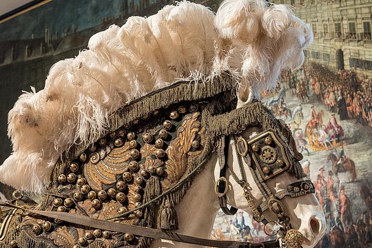 Tour image 8